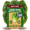 Romaine Lettuce