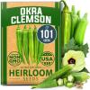 Okra