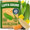Luffa