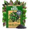 imageHOME GROWN   500 Cilantro Seeds for Planting Indoors or Outdoors  Heirloom  Coriander Seeds Grow Your Own Cilantro Plant  Culinary Herb Seeds for Your Herb GardenThai Basil