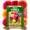 imageHOME GROWN   Aubrieta Rock Cress Purple Flowering Ground Cover Seed Pack Perennial Cress Seeds for Planting Outdoor Lawn Gardens 300  Aubrieta deltoidea Flower SeedsZinnia Dahlia