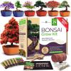 imageHOME GROWN  Bonsai Tree Kit  6 Heirloom Varieties with Unique Pots  DIY Bonsai Starter Kit for Adults ampamp Beginners  Christmas Gift for Men Women Gardeners Plant Lovers  Indoor Growing KitMaster Kit