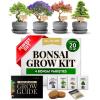 imageHOME GROWN  Bonsai Tree Kit  6 Heirloom Varieties with Unique Pots  DIY Bonsai Starter Kit for Adults ampamp Beginners  Christmas Gift for Men Women Gardeners Plant Lovers  Indoor Growing KitDeluxe Kit