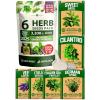 imageHOME GROWN 10 Herb Seeds for Planting 3000 NonGMO Heirloom Seeds  Extra Large Variety Pack Herb Kit  Indoor Outdoor ampamp Hydroponic  Culinary Seed Set  Grow Your Own Herbs  Gift for Beginners6Pack