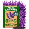 imageHOME GROWN 10 Herb Seeds for Planting 3000 NonGMO Heirloom Seeds  Extra Large Variety Pack Herb Kit  Indoor Outdoor ampamp Hydroponic  Culinary Seed Set  Grow Your Own Herbs  Gift for Beginners1Pack