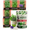 imageHOME GROWN 10 Herb Seeds for Planting 3000 NonGMO Heirloom Seeds  Extra Large Variety Pack Herb Kit  Indoor Outdoor ampamp Hydroponic  Culinary Seed Set  Grow Your Own Herbs  Gift for Beginners5Pack