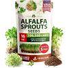 imageHOME GROWN Broccoli Seeds 8 oz  for Sprouting or Microgreens   High Germination Sprout Seeds Nutritious Micro Greens  Broccoli Sprouts in 5 days  Sulforaphane Rich16 oz