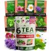 imageHOME GROWN Medicinal Herb Seeds Vault  2000 Seeds 6   Heirloom Varieties for Indoor ampamp Outdoor Garden  Lavender ChamomileMintLemon BalmPeppermintEchinacea Garden MarkersTea Herb 6Pack