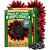 imageHOME GROWN Morning Glory SeedsHeavenly Blue 2 Pack 300  Heirloom Morning Glories Vine Seeds for Planting Ideal for a Flower Garden That Attracts Pollinators and BirdsIpomoea tricolorChocolate Cherry Sunflower 2Pack