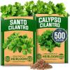 Santo Calypso 2-Pack