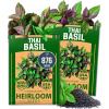 Thai Basil 2-Pack