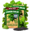 imageHOME GROWN Premium Common Mint Seeds Bulk Pack 3600   Heirloom Herb Seeds USA Sourced  Ideal for Planting Outdoors or Indoors for a Fresh Mint Tea Garden Mentha sppLemon Balm 2Pack
