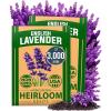 Lavender 2-Pack
