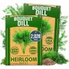 Dill 2-Pack