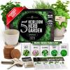 imageHOME GROWN Succulent ampamp Cactus Seed Kit for Planting  Enthusiasts Favorites Premium Cactus ampamp Succulent Starter Kit 4 Planters Drip Trays Markers Seeds Mix Soil  DIY Gift KitsHerb Garden Kit