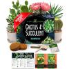 imageHOME GROWN Succulent ampamp Cactus Seed Kit for Planting  Enthusiasts Favorites Premium Cactus ampamp Succulent Starter Kit 4 Planters Drip Trays Markers Seeds Mix Soil  DIY Gift KitsCactus Garden Kit