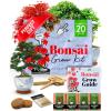 imageHome Grown Bonsai Tree Kit  Premium Ceramic Starter Set with 4 Bonsai Varieties  Easy Indoor Gardening Gift for Men ampamp Women  Unique Plant Kit for Beginners ampamp Nature Lovers