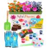 imageHome Grown Paint ampamp Grow Flower Gardening Kit Set for Boys and Girls  Craft Activity Toy for Kids Ages 5 6 7 812 Years Old  Unique Birthday Present  Plant Gift Toys