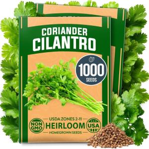 imageHOME GROWN   1000 Cilantro Seeds for Planting Indoors or Outdoors  NonGMO Heirloom Herbs Coriander Plant Seeds Herb Seeds Collection for Herb Garden Coriandrum sativum