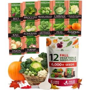 imageHOME GROWN   25 Heirloom Vegetable Seeds Kit  14200 NONGMO Seeds for Planting Vegetables Survival Garden Seed Vault Tomatoes Carrots Beans Kale Peppers Indoor Outdoor Garden12Pack Fall