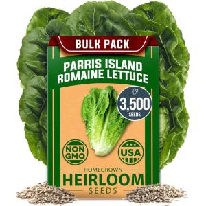 imageHOME GROWN   5 Pumpkin Seeds Mix  40 Seeds  Heirloom Pumpkin for Planting Ideal Garden for Unique Varieties Yellow Paris and Casper Culinary and Decorative UseRomaine Lettuce