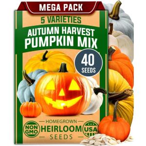 imageHOME GROWN   5 Pumpkin Seeds Mix  40 Seeds  Heirloom Pumpkin for Planting Ideal Garden for Unique Varieties Yellow Paris and Casper Culinary and Decorative UsePumpkin