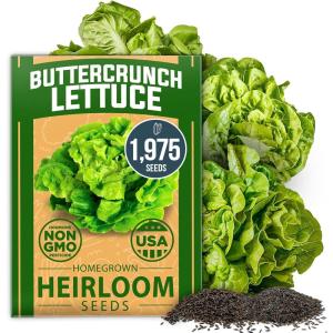imageHOME GROWN   5 Pumpkin Seeds Mix  40 Seeds  Heirloom Pumpkin for Planting Ideal Garden for Unique Varieties Yellow Paris and Casper Culinary and Decorative UseButtercrunch Lettuce