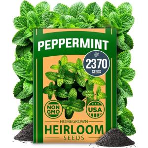 imageHOME GROWN   500 Cilantro Seeds for Planting Indoors or Outdoors  Heirloom  Coriander Seeds Grow Your Own Cilantro Plant  Culinary Herb Seeds for Your Herb GardenPeppermint