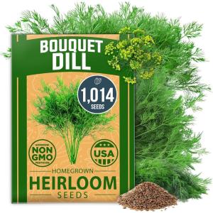 imageHOME GROWN   500 Cilantro Seeds for Planting Indoors or Outdoors  Heirloom  Coriander Seeds Grow Your Own Cilantro Plant  Culinary Herb Seeds for Your Herb GardenDill