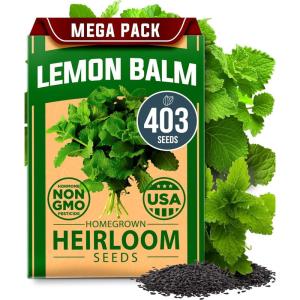 imageHOME GROWN   500 Cilantro Seeds for Planting Indoors or Outdoors  Heirloom  Coriander Seeds Grow Your Own Cilantro Plant  Culinary Herb Seeds for Your Herb GardenLemon Balm
