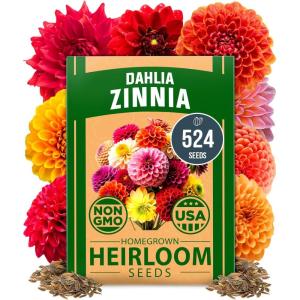 imageHOME GROWN   Aubrieta Rock Cress Purple Flowering Ground Cover Seed Pack Perennial Cress Seeds for Planting Outdoor Lawn Gardens 300  Aubrieta deltoidea Flower SeedsZinnia Dahlia