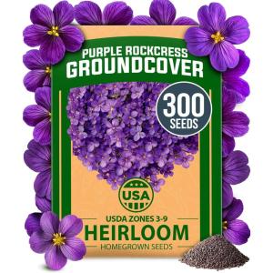 imageHOME GROWN   Aubrieta Rock Cress Purple Flowering Ground Cover Seed Pack Perennial Cress Seeds for Planting Outdoor Lawn Gardens 300  Aubrieta deltoidea Flower SeedsRock Cress Purple