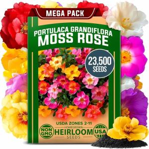 imageHOME GROWN   Aubrieta Rock Cress Purple Flowering Ground Cover Seed Pack Perennial Cress Seeds for Planting Outdoor Lawn Gardens 300  Aubrieta deltoidea Flower SeedsMoss Rose