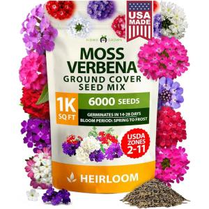 imageHOME GROWN   Aubrieta Rock Cress Purple Flowering Ground Cover Seed Pack Perennial Cress Seeds for Planting Outdoor Lawn Gardens 300  Aubrieta deltoidea Flower SeedsMoss Verbena Mix