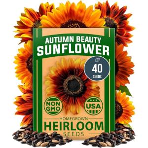 imageHOME GROWN   Autumn Beauty Sunflower Seeds to Plant 40 Heirloom NonGMO Sunflower Seeds for Planting Blooms for Pollinator Support and Ornamental Flower Garden Helianthus annuusAutumn Beauty Sunflower