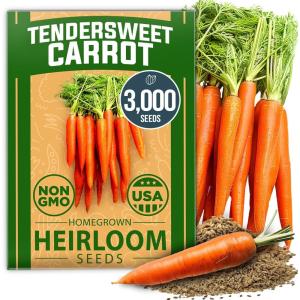 imageHOME GROWN   Tendersweet Carrots Pack Daucus carota subsp sativus  3000  Heirloom Seeds for Planting Outdoors  HighGermination Vegetable for a Lush Garden