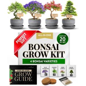 imageHOME GROWN  Bonsai Tree Kit  6 Heirloom Varieties with Unique Pots  DIY Bonsai Starter Kit for Adults ampamp Beginners  Christmas Gift for Men Women Gardeners Plant Lovers  Indoor Growing KitDeluxe Kit