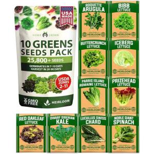 imageHOME GROWN 10 Herb Seeds for Planting 3000 NonGMO Heirloom Seeds  Extra Large Variety Pack Herb Kit  Indoor Outdoor ampamp Hydroponic  Culinary Seed Set  Grow Your Own Herbs  Gift for Beginners10Pack Greens