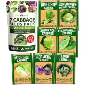 imageHOME GROWN 10 Herb Seeds for Planting 3000 NonGMO Heirloom Seeds  Extra Large Variety Pack Herb Kit  Indoor Outdoor ampamp Hydroponic  Culinary Seed Set  Grow Your Own Herbs  Gift for Beginners7Pack