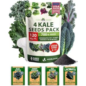 imageHOME GROWN 10 Herb Seeds for Planting 3000 NonGMO Heirloom Seeds  Extra Large Variety Pack Herb Kit  Indoor Outdoor ampamp Hydroponic  Culinary Seed Set  Grow Your Own Herbs  Gift for Beginners4Pack