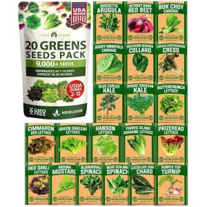 imageHOME GROWN 10 Herb Seeds for Planting 3000 NonGMO Heirloom Seeds  Extra Large Variety Pack Herb Kit  Indoor Outdoor ampamp Hydroponic  Culinary Seed Set  Grow Your Own Herbs  Gift for Beginners20Pack Greens