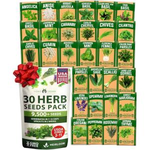 imageHOME GROWN 10 Herb Seeds for Planting 3000 NonGMO Heirloom Seeds  Extra Large Variety Pack Herb Kit  Indoor Outdoor ampamp Hydroponic  Culinary Seed Set  Grow Your Own Herbs  Gift for Beginners30Pack