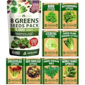 imageHOME GROWN 10 Herb Seeds for Planting 3000 NonGMO Heirloom Seeds  Extra Large Variety Pack Herb Kit  Indoor Outdoor ampamp Hydroponic  Culinary Seed Set  Grow Your Own Herbs  Gift for Beginners8Pack