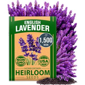 imageHOME GROWN 10 Herb Seeds for Planting 3000 NonGMO Heirloom Seeds  Extra Large Variety Pack Herb Kit  Indoor Outdoor ampamp Hydroponic  Culinary Seed Set  Grow Your Own Herbs  Gift for Beginners1Pack