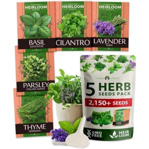 imageHOME GROWN 10 Herb Seeds for Planting 3000 NonGMO Heirloom Seeds  Extra Large Variety Pack Herb Kit  Indoor Outdoor ampamp Hydroponic  Culinary Seed Set  Grow Your Own Herbs  Gift for Beginners5Pack