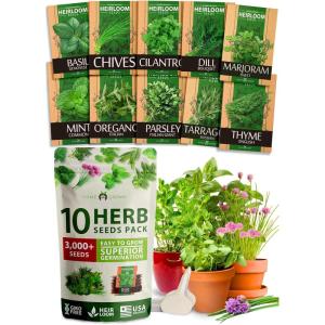 imageHOME GROWN 10 Herb Seeds for Planting 3000 NonGMO Heirloom Seeds  Extra Large Variety Pack Herb Kit  Indoor Outdoor ampamp Hydroponic  Culinary Seed Set  Grow Your Own Herbs  Gift for Beginners10Pack