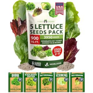 imageHOME GROWN 5 Lettuce Seed Pack  3950 Heirloom Vegetable Seeds for Indoor Outdoor or Hydroponic Growing  Black Seeded Simpson Red Romaine Bibb Buttercrunch Iceberg Varieties Lactuca Sativa