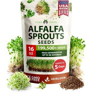 imageHOME GROWN Broccoli Seeds 8 oz  for Sprouting or Microgreens   High Germination Sprout Seeds Nutritious Micro Greens  Broccoli Sprouts in 5 days  Sulforaphane Rich16 oz