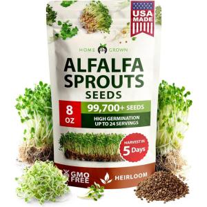 imageHOME GROWN Broccoli Seeds 8 oz  for Sprouting or Microgreens   High Germination Sprout Seeds Nutritious Micro Greens  Broccoli Sprouts in 5 days  Sulforaphane Rich8 oz