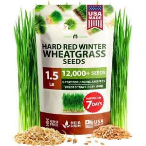 imageHOME GROWN Broccoli Seeds 8 oz  for Sprouting or Microgreens   High Germination Sprout Seeds Nutritious Micro Greens  Broccoli Sprouts in 5 days  Sulforaphane Rich15 lbs